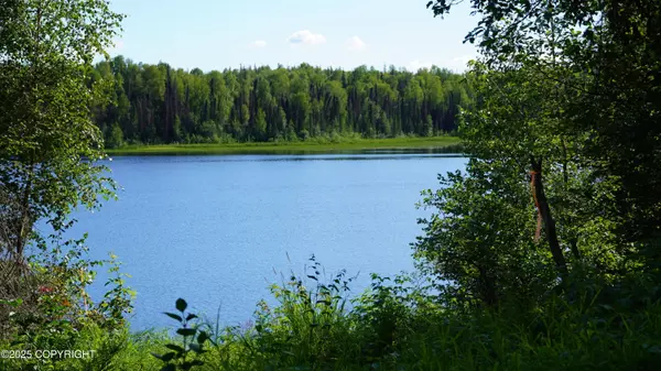 Skwentna, AK 99000,Tr D Fish Lakes Creek