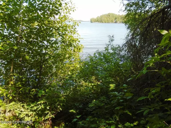 Big Lake, AK 99652,Tr B No Road