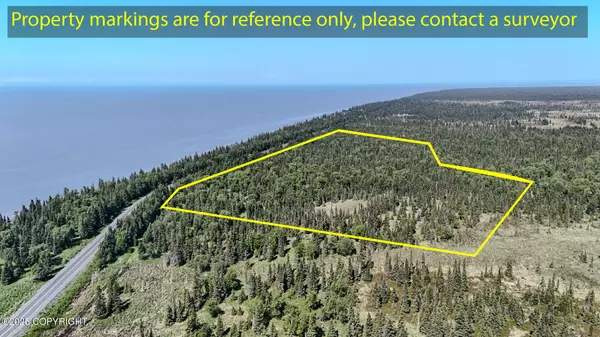 Tr D Cohoe Loop RD, Kasilof, AK 99610
