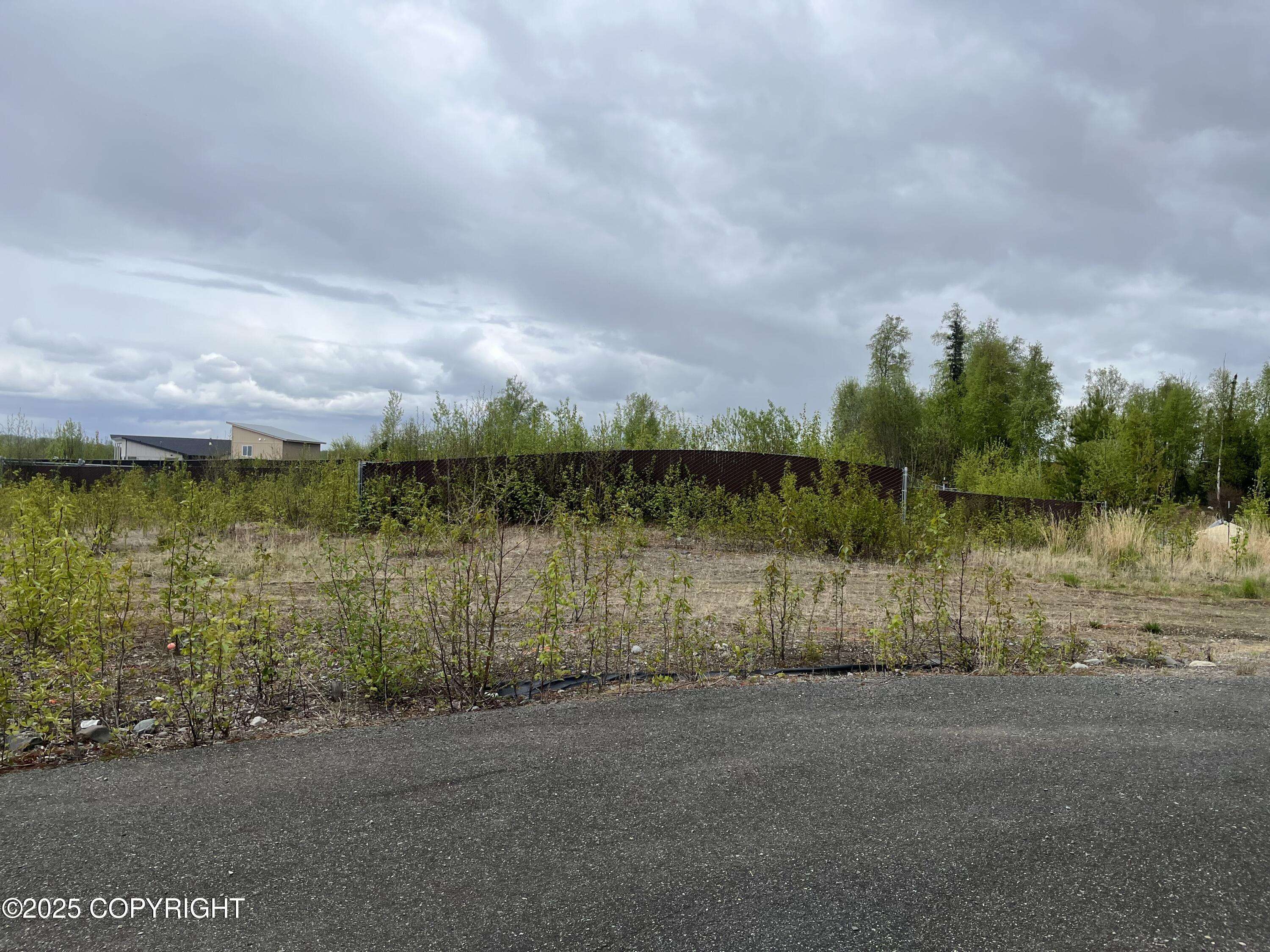 Big Lake, AK 99652,4015 S Jack London CIR