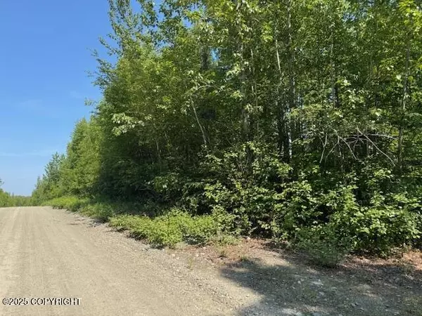 39578 S Malaspina LOOP, Talkeetna, AK 99676