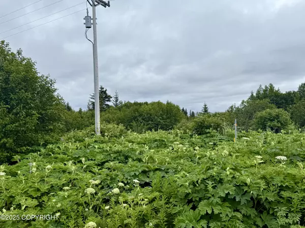 Anchor Point, AK 99556,31025 Whiskey Gulch ST