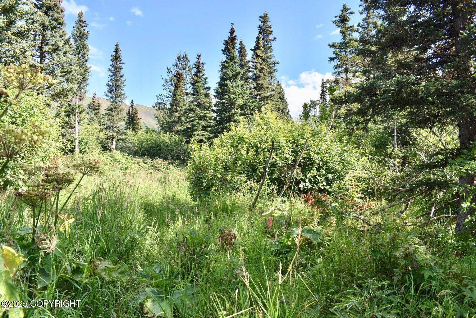 L4 B6V Rabbit Creek View, Anchorage, AK 99516