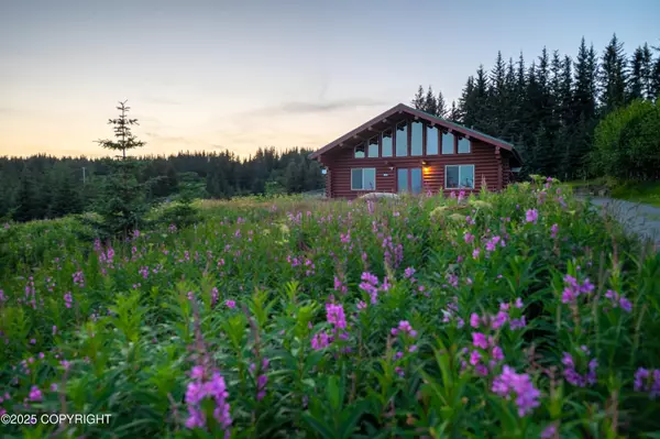 64264 Mineral DR, Homer, AK 99603