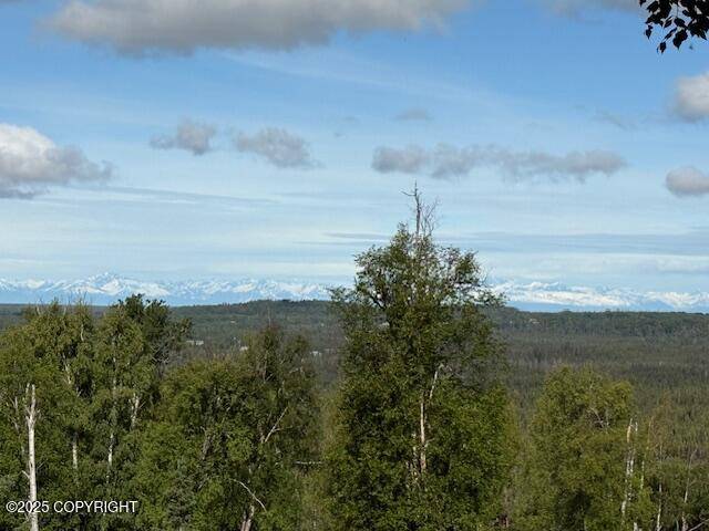 L15-A Gloria Burns Circle, Soldotna, AK 99669