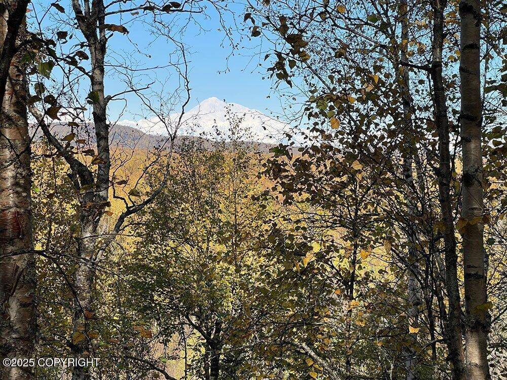 25818 S Gadol DR, Talkeetna, AK 99676