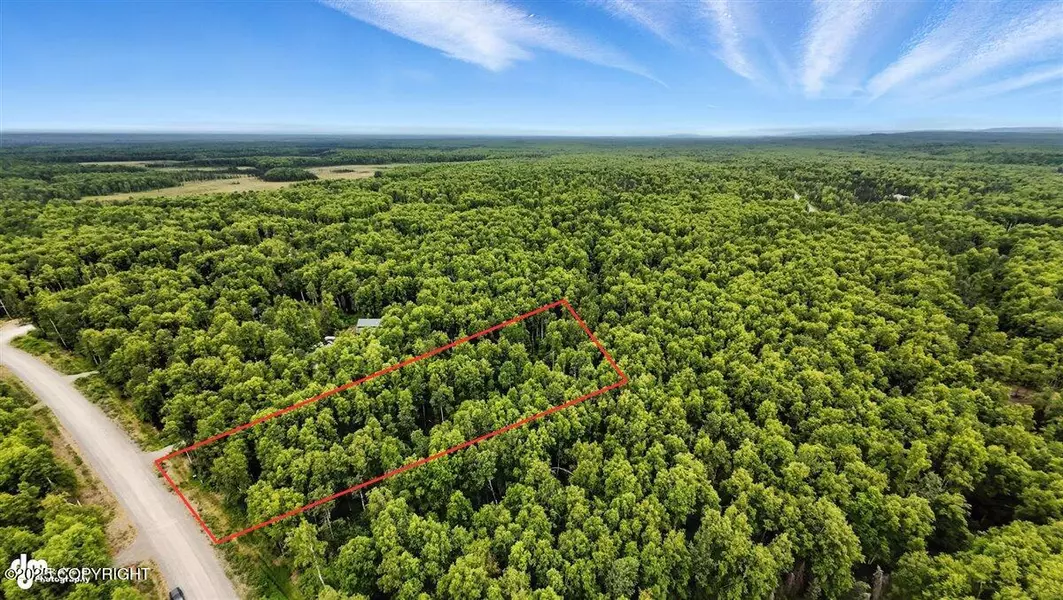 19961 E Goshawk WAY, Willow, AK 99688