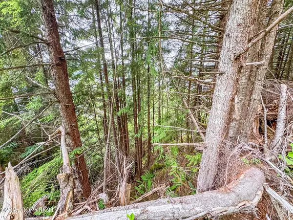 Thorne Bay, AK 99919,Lot DC-4 Shoreline DR
