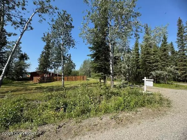 233 D ST, Anderson, AK 99744