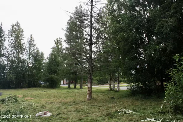 Wasilla, AK 99654,940 S Serrano DR