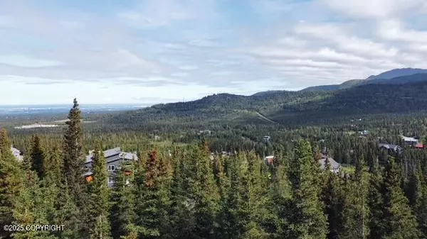 Anchorage, AK 99516,L14A B4H Viola CIR