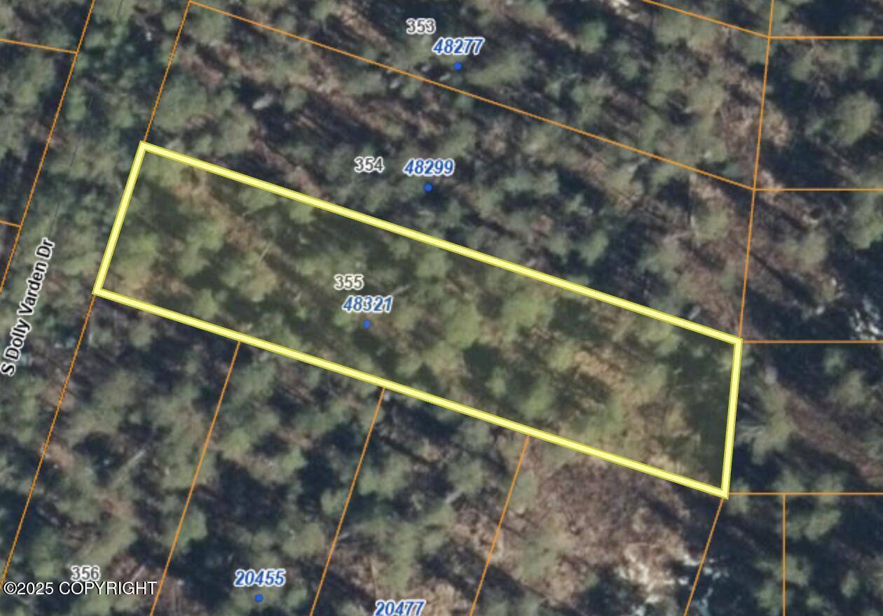 48321 S Dolly Varden DR, Willow, AK 99688