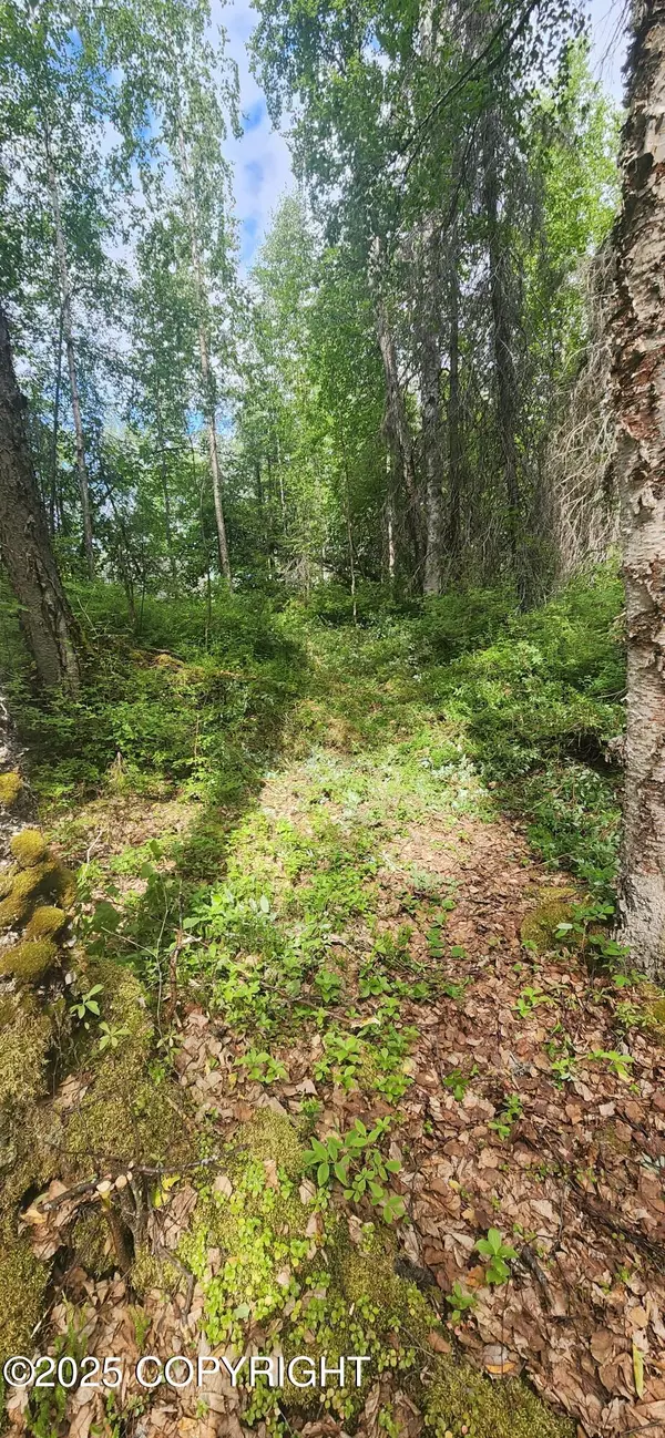 Willow, AK 99688,48615 S Dolly Varden DR