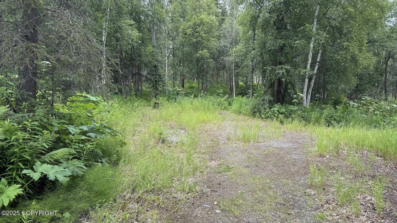 Nikiski/north Kenai, AK 99611,53302 Ainsworth AVE