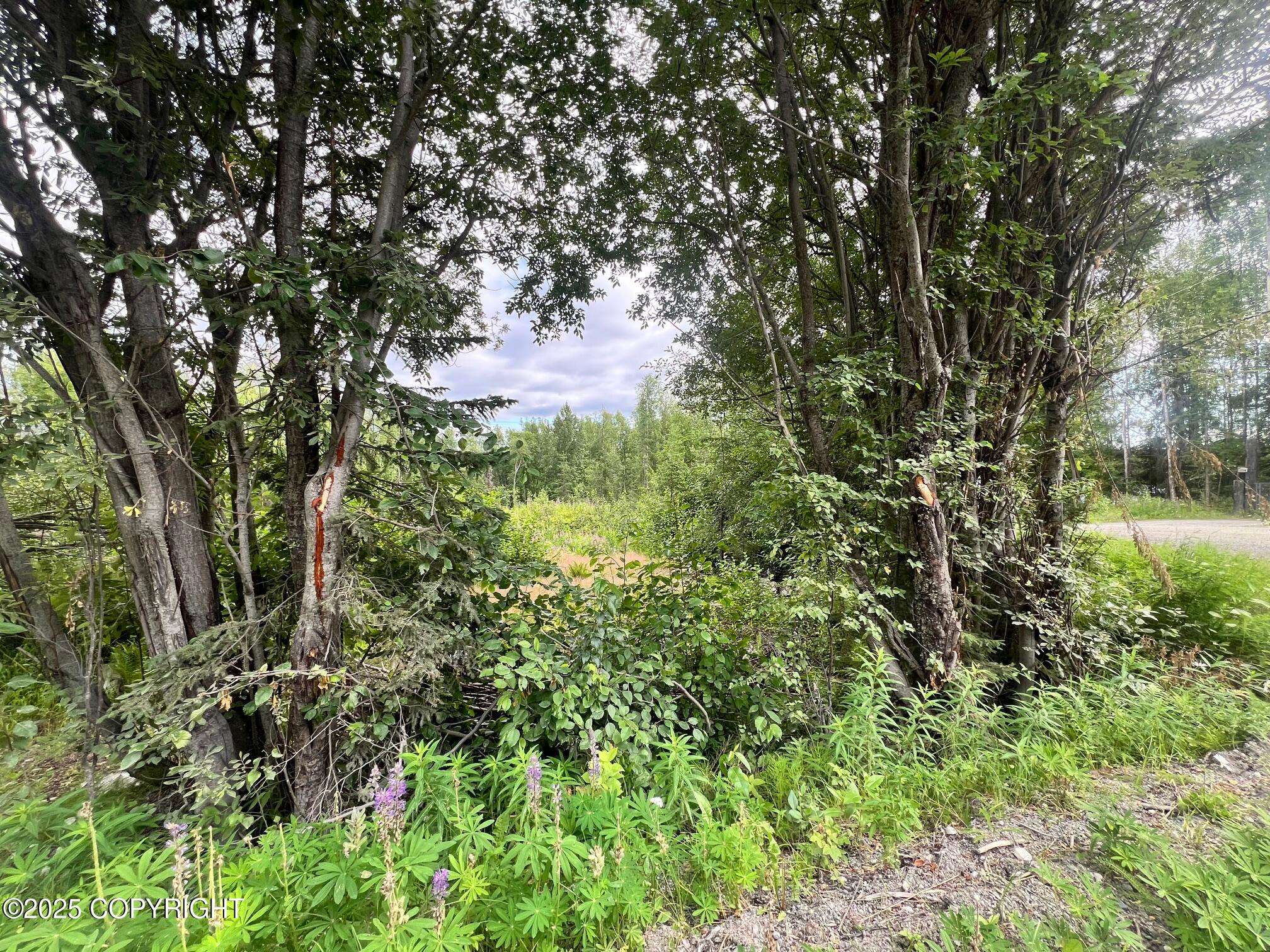 Big Lake, AK 99654,L7 W Erika DR