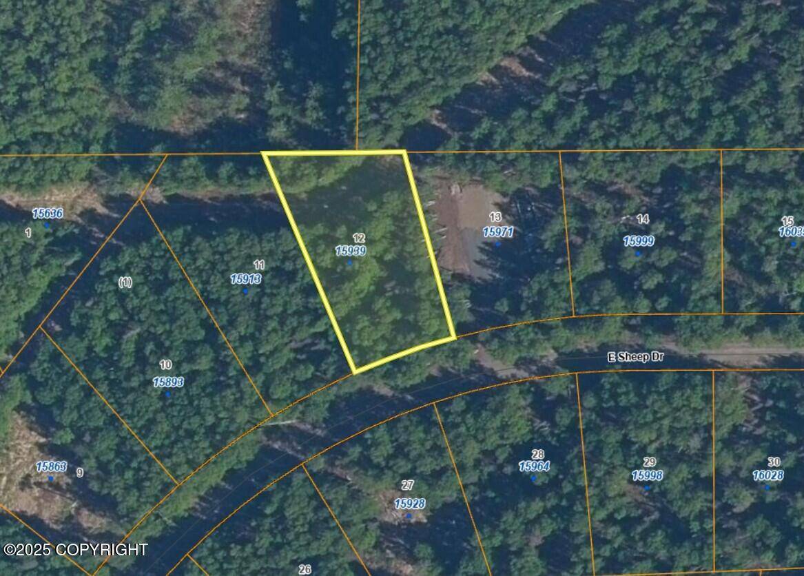 15939 E Sheep DR, Talkeetna, AK 99676