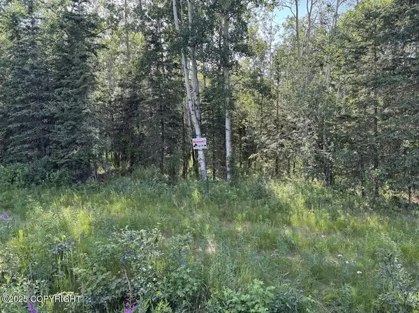 8A1 Lake RD, Soldotna, AK 99669