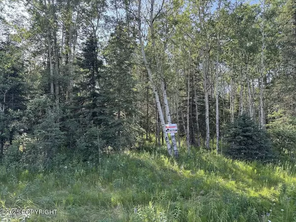 8A2 Lake RD, Soldotna, AK 99669