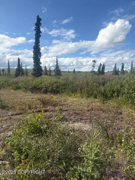 51384 S Summit LOOP, Chickaloon, AK 99674