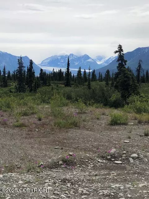 Chickaloon, AK 99674,51384 S Summit LOOP