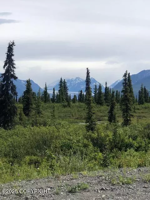 51384 S Summit LOOP, Chickaloon, AK 99674