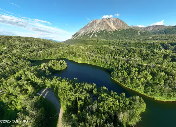 Chickaloon, AK 99674,31561 E Oline CIR