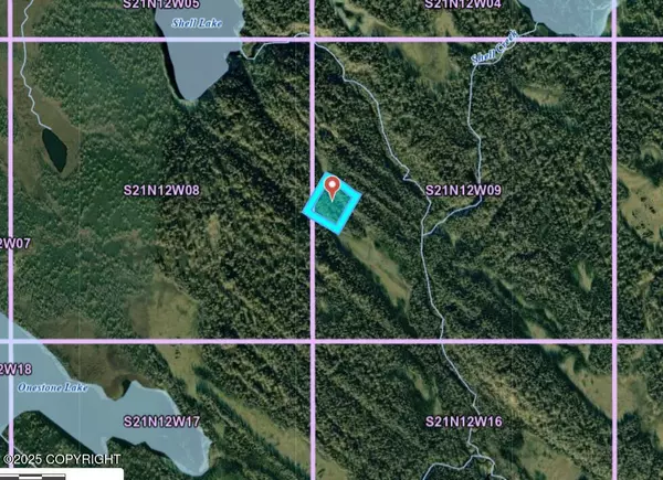 Remote, AK 99667,L7 Onestone Lake