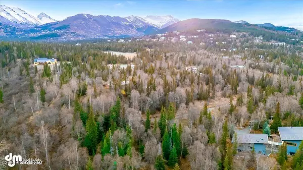 Anchorage, AK 99516,L4 Blair View CIR