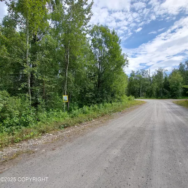 Talkeetna, AK 99676,B3 L1 S Jefferson ST