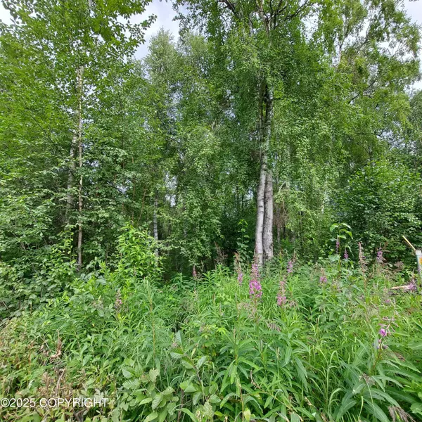 B3 L1 S Jefferson ST, Talkeetna, AK 99676