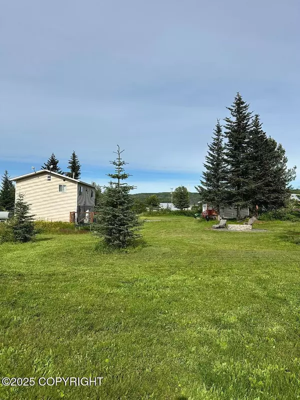 Anchor Point, AK 99556,64900 Nikolaevsk RD