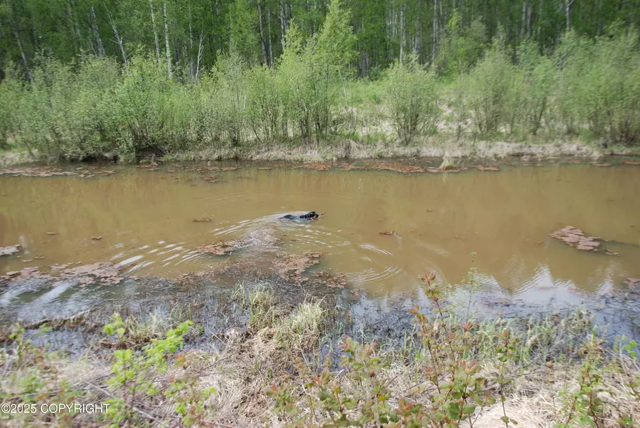 49198 S Hunter DR, Willow, AK 99688