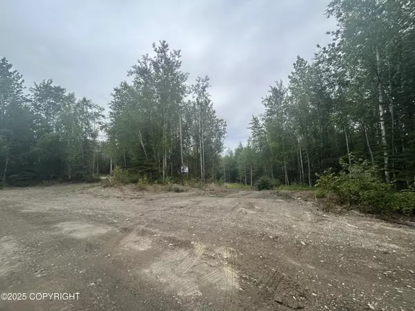 Nikiski/north Kenai, AK 99635,46737 Tauriainen TRL