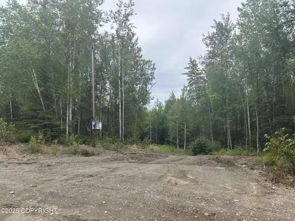 Nikiski/north Kenai, AK 99635,46737 Tauriainen TRL