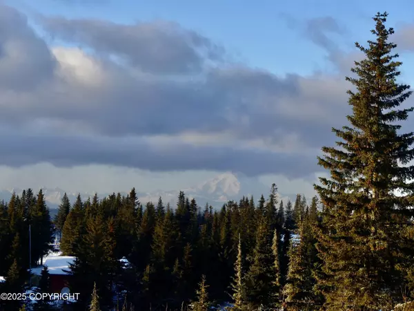 Ninilchik, AK 99639,68272 Wishbone WAY