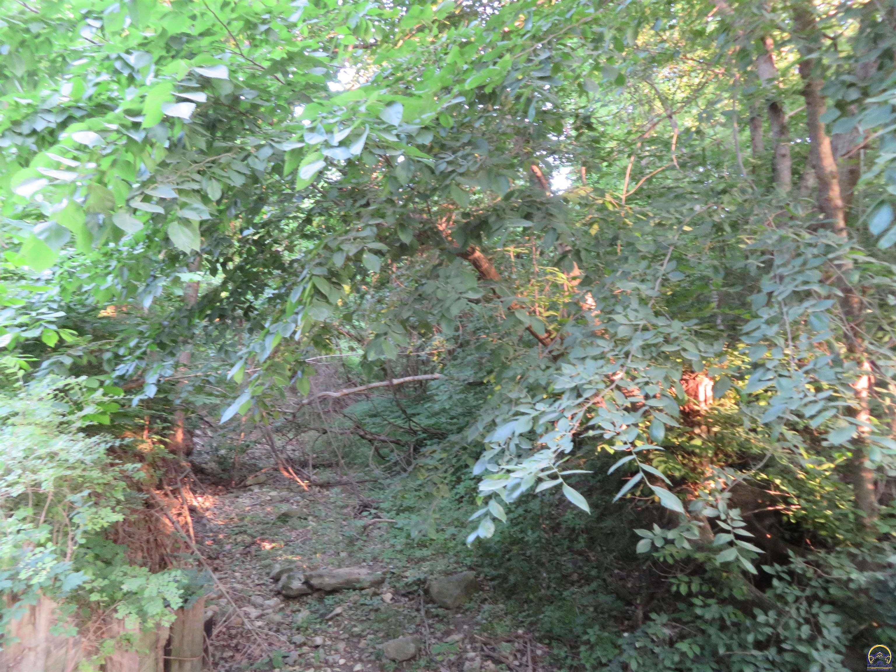 Atchison, KS 66002,136 +/- Acres River RD