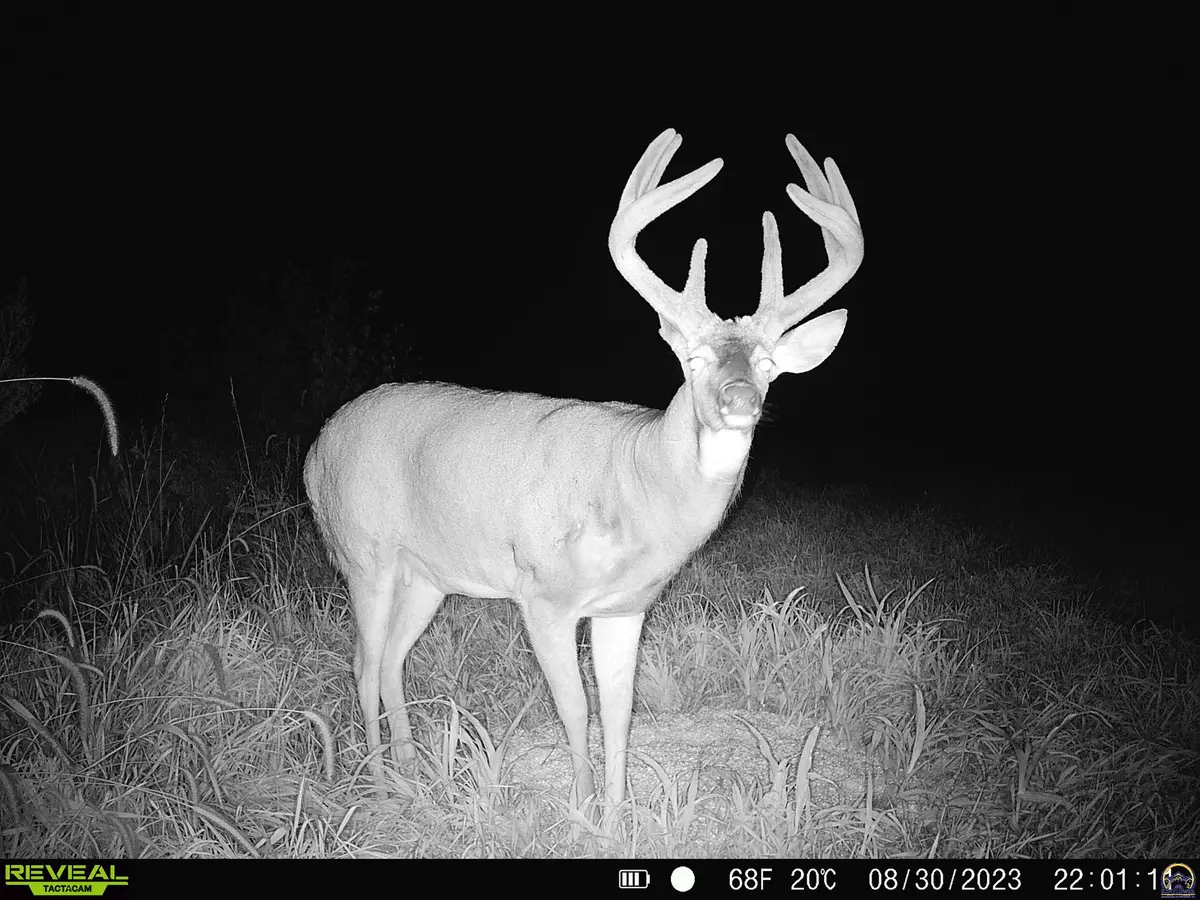 Effingham, KS 66023,2445 Dickinson RD