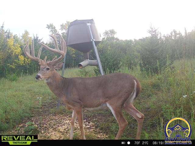 Hoyt, KS 66440,00000 110th Rd