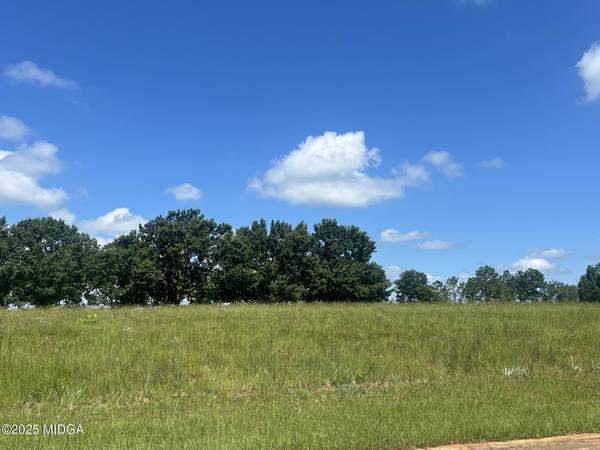 19 Camden Way, Hawkinsville, GA 31036