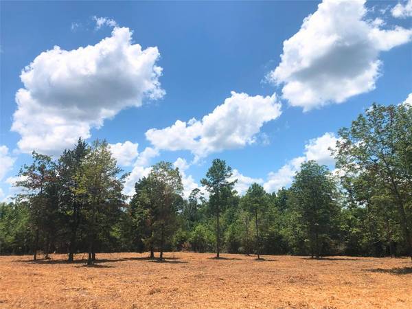 Lot 6 CR 338, Nacogdoches, TX 75961