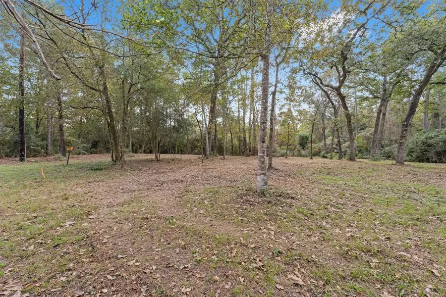 32622 Dogwood Trail, Magnolia, TX 77355