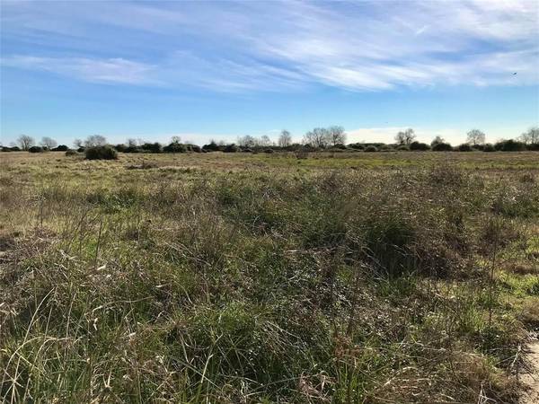 Eagle Lake, TX 77434,Lot 1 TBD, 1293 FM 3013 RD