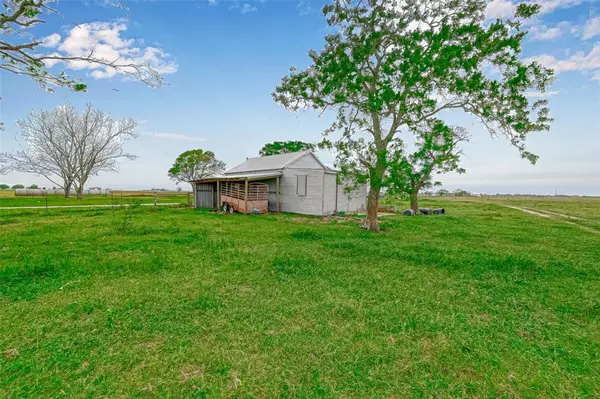 Louise, TX 77455,1564 County Road 309