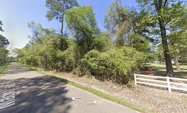 0 Magnolia Bend Lot 17A DR, Conroe, TX 77302