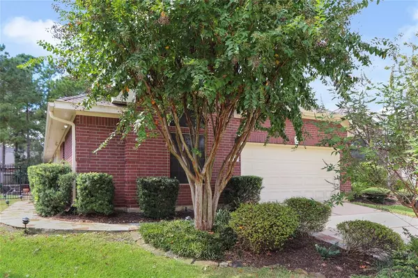 Conroe, TX 77384,31 Paddington CT