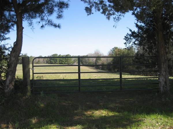 Grapeland, TX 75844,00 County Rd 1720