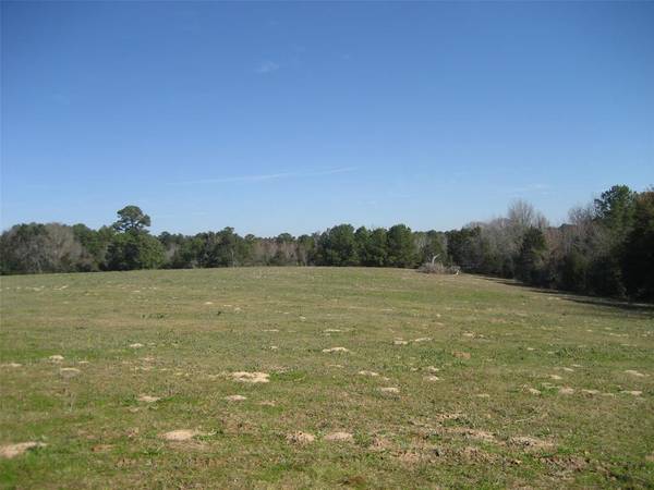 Grapeland, TX 75844,00 County Rd 1720