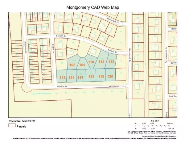 Conroe, TX 77302,TBD SPRUCE DRIVE, LOT 113