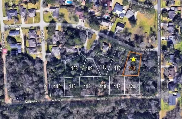 Conroe, TX 77302,TBD SPRUCE DRIVE, LOT 113