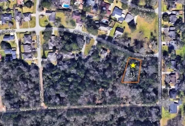 Conroe, TX 77302,TBD SPRUCE DRIVE, LOT 113